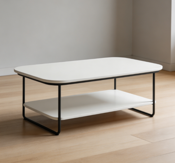 Minimalist Storage Coffee Table